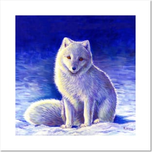 Peaceful Winter Arctic Fox Posters and Art